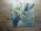 Edgar Froese Epsilon In Malaysian Pale A2/B2 Very Good Vinyl LP Record V2040