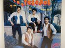 Los Tesoros - Piensa En Mi LP - Joey 3198 - Tested VG+ Vinyl - S4