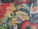 Adrianne Lenker - songs and instrumentals (NEW 2 VINYL LP)