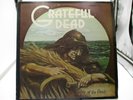 Grateful Dead Wake Of The Flood LP Record GD-01 1973 Ultrasonic Clean VG++ cVG
