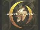 A Perfect Circle 