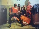 THE FLAMIN’ GROOVIES - Teenage Head VINYL LP 2009 Norton / Sony