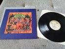 DVC - MOLECULAR SHADOW   LP   VINYL  DEATH METAL