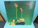 THE GUN CLUB - Miami - Rare UK 1st LP 1982 - (Animal Records) - Post-Punk - EX