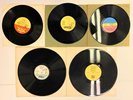 5 Vinyl Records Raggae Don Carlos We The People Sammy Dread Courage Nicodemous