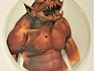 METALLICA Jump in the Fire Original RARE UN CUT Shaped Picture Disc