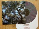 CHARLES MANSON Trees LP CERTIFIED RARE PURPLE GREEN Vinyl 1/1 jandek outsider