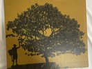 In Between Dreams by Jack Johnson Vinyl