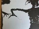 Twilight Singers Dynamite Steps White Vinyl - Gregg Dulli, Mark Lanegan