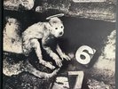 PIXIES - MONKEY GONE TO HEAVEN 12