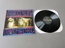 TEMPLE OF THE DOG SOUNDGARDEN CHRIS CORNELL original black Vinyl LP Same (1991)
