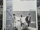 Ultravox – Vienna Superb Japan Import Vinyl LP Mint  Chrysalis – WWS-81355