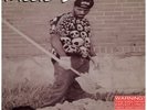 Willie D - Play Witcha Mama '94 LP US ORG  Ice Cube Geto Boys
