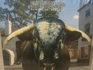 Swervedriver Mezcal Head Vinyl Fist Press UK Creation Records