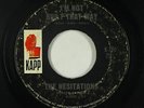 Northern Soul 45 - Hesitations - I'm Not Built That Way - Kapp - mp3
