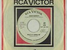 Northern Soul 45 - Susan Barrett - What's It Gonna Be - RCA Victor - VG++ mp3