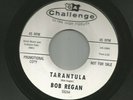 SURF GARAGE HORROR INSTRO- BOB REGAN - TARANTULA  -HEAR -1964 PROMO CHALLENGE