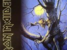 IRON MAIDEN - Fear Of The Dark (reissue) - Vinyl (2xLP)