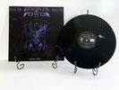 DISCIPLES OF POWER Power Trap 12
