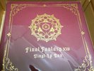 FINAL FANTASY XIV Vinyl LP Box 4 Special Record Soundtrack SQUARE ENIX JAPAN