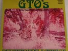 GTOs Girls Together Outrageously Permanent Damage LP 1969 Frank Zappa Beck 1059