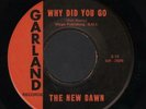 Hear Scarce 1969 New Dawn Oregon Garage 45 (Why Did You Go / Tears)