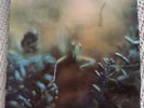 Steely Dan / Pretzel Logic + Katy Lied - Vinyl LP  -  Records