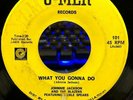 Johnnie Jackson What You Gonna Do / Wisdom Of A Fool (Vinyl, 7