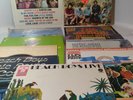 beach boys  vinyl  lp 11 record lot 