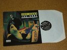 LP Vinyl Record  Ice Cube Death Certificate Priority 1991