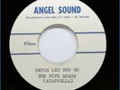 FIVE DISCS/DEVOTIONS DooWop Acapela ACETATE Rip Van Winkle/Never Let You Go HEAR