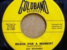 Jay Richards Blues Kings SWAMP R&B Johnny Winter REACH FOR A MOMENT VG++ JR 2156