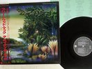 FLEETWOOD MAC TANGO IN THE NIGHT WARNER P-13490 Japan OBI VINYL LP