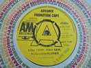 The Ronettes - You Came, You Saw, You Conquered 1969 UK 45 A&M DEMO