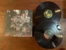 La Dispute - Wildlife Transparent Purple Double LP Vinyl Record Gatefold