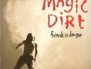 MAGIC DIRT Friends In Danger VINYL LP BRAND NEW