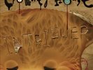 CROWDED HOUSE Intriguer VINYL LP BRAND NEW 180 Gram With Download