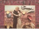 5 Rock LP's    Lone Justice    Firm   Billy Idol  Jag Wire   Golden Palominos