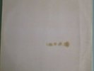 Los Beatles White Album Argentina mono pressing vinyl 2 x Lp  w / photos rare 69