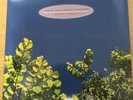 LP The Go-Betweens. 1977-1990  ( 2 LPs)