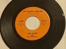 Sam Starr And The Outlaws ‎– My Elusive Dreams/North To Alaska 7” 45 RARE