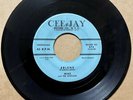 Mike & The Utopians 1958 WHITE DOOWOP 45 Erlene / I Wish ORIGINAL CEEJAY VG HEAR