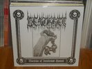 DEATHKEY doctrine of intolerant hatred WHITE 2x LP NEW grunt bizarre uproar