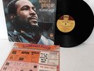 MARVIN GAYE 