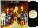 Lynyrd Skynyrd - Street Survivors LP - MCA OG Flames Cover VG+