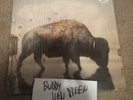 SILVERSTEIN- This Is How The Wind Shifts CLOUDY CLEAR/BLUE SMASH Vinyl ed.500
