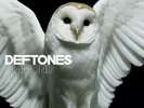 Deftones • Diamond Eyes NEW Vinyl LP Album