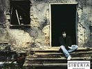 ECHO & THE BUNNYMEN-Siberia (Translucent Vinyl) (UK IMPORT) VINYL NEW
