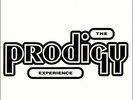 Prodigy - Experience Vinyl