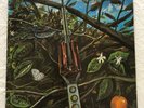 DRAGONFLY,   ROCK   GARAGE / PSYCHEDELIC  , 60's